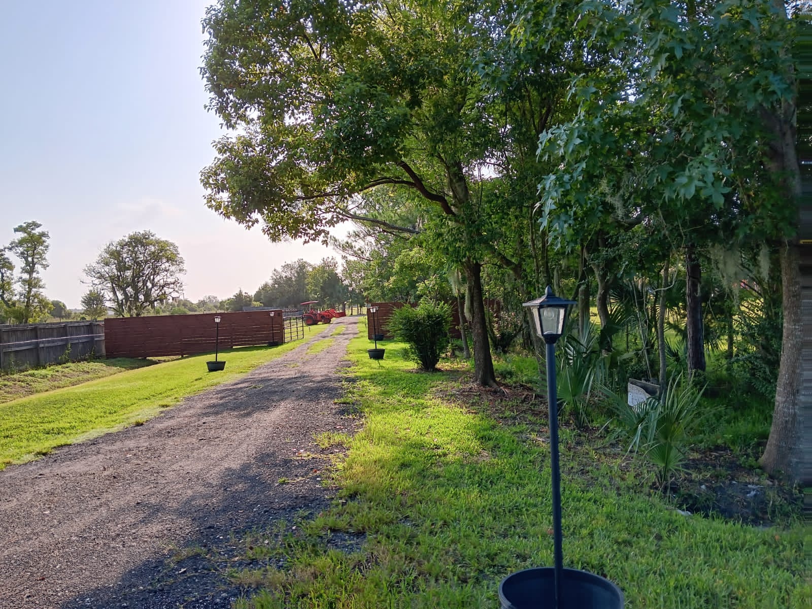 Olive Farm